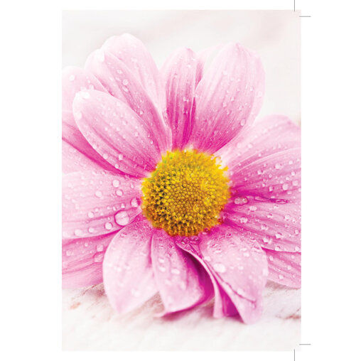 Kaartje "Algemene Bloem'